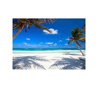 Coconut Palms at Desolate Beach Caribbean Paradise Photo Art Framed Art Print Picture Mount F12X241