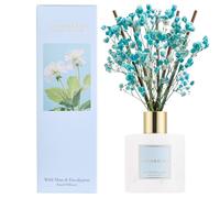 COCORRÍNA Diffuseur de parfum d'ambiance à reeds 8 bâtonnets 200 ml menthe sauvage et eucalyptus naturel longue durée huile essentielle salle de bain