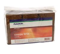 Cocos Brix x 6 - PLAGRON