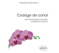 Codage de canal : une introduction aux codes correcteurs d'erreurs