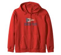 Code régional de l'Ohio 419 | Drapeau de l'État de Tolède - Vintage Grunge Sweat à Capuche