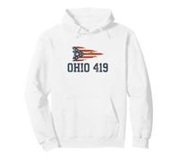 Code régional de l'Ohio 419 | Drapeau de l'État de Tolède - Vintage Grunge Sweat à Capuche