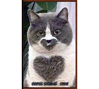 CODES SECRÉTÉS CHAT: Chat c'est un super mot de passe: Carnet de mots de passe internet à remplir avec son répertoire alphabétique