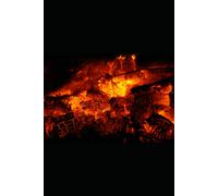 Codex Luminis: Metawissen, Zeitgeist Und Zukunft