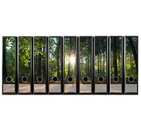 codiarts. Lot d'Etiquettes Autocollantes de 9 Pièces pour Chemises à Dossiers (Autocollant de Dos de Dossier) Rayons de Soleil dans La Forêt