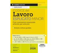 Codice del Lavoro esplicato. Commento essenziale, articolo per articolo, alle principali norme di diritto del lavoro. Minor