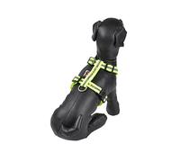 CODICO L35 Harnais Réglable en Polypropylène avec Bande Réfléchissante pour Chien