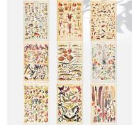 CODIRATO 9 PCS Affiche Botanique Vintage Papillon Poster Rétro Insecte Oiseaux Affiche Esthétique Fleurs Plante Poster Set 30x20cm Fruits Légumes Poster pour Art Mural Déco