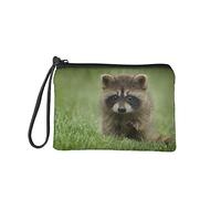 COEQINE Porte-monnaie pour femme avec fermeture éclair, petite pochette, mini sac fourre-tout, porte-cartes, organiseur, Raton-laveur, Taille unique,