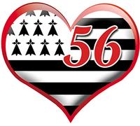 coeur breton 56-15x13cm - Sticker/autocollant