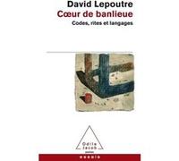 Coeur de banlieue David Lepoutre (Auteur)