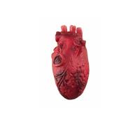 coeur sanglant - ptitclown 21900
