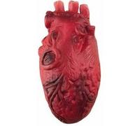 coeur sanglant - ptitclown 21900