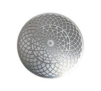 Coffee Filter Mesh Plate - Coffee Machine Filtration, Puck Shower Screen with Precision Perforation, Secondary Distribution Network, Rustproof Metal Filter, for Tasting Sessions Workshop