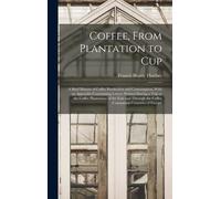Coffee, From Plantation To Cup