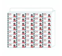 Coffre De Rangement pour Téléphone Portable Coffre-Fort Mural en Acrylique avec Serrure pour Téléphone Portable (6 À 80 Emplacements) pour Salle De Classe, Bureau, Examen(40)