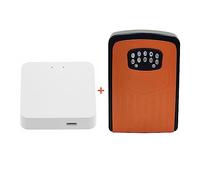 Coffre-fort, Boîte secrète de stockage clé maison intelligente Tuya(Generation 3)