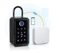 Coffre-fort, TTLOCK/Tuya empreinte digitale Smart Key Lock Box coffres-forts IP65 étanche mot de passe téléphone contrôle mural clés coffre-fort stockage serrure boîte(TTlock with gateway)