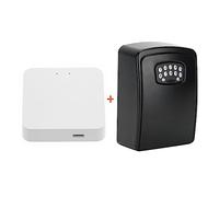 Coffres-forts muraux, Boîte secrète de stockage de clé de maison intelligente Tuya(Generation 2)