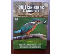 Coffret 3 Dvd British Birds And Birdlife - Guide Complet Des Oiseaux Britanniques