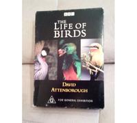 Coffret 3 Dvds Life Of Birds - Documentaire Animalier