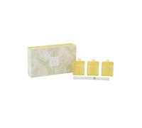 Coffret 3 Huiles Parfumées Sense 22cm Citron Énergisant