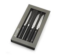 Amefa Fusion - Coffret 4 couteaux steak
