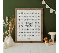 Coffret affiche à tamponner Les petites bêtes de la mer + porte affiche en bois