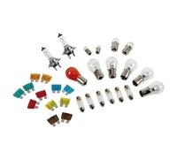 Coffret Ampoules De Secours H7 24v 30 Pieces
