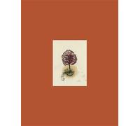 Coffret ARBRES Avec liens QR code vers les versions sonores bilingues en français et arabe - Raphaële Frier - Le Port A Jauni - Coffret - Poésie