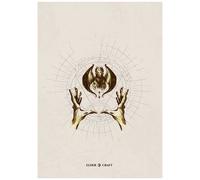 Coffret Aria : Le Tribunal Des Dragons