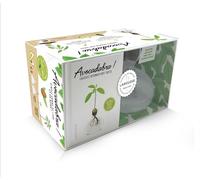 Coffret Avocadabra