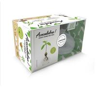 Coffret Avocadabra Avec 1 vase à germer - Collectif - Larousse - Boîte ou accessoire - Jeux livres objets