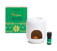 Coffret brûle parfum et concentré 5 ml Roi des forêts
