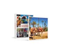 Échappée Romantique En Riad Avec Hammam Et Excursion En Dromadaire Dans La Palmeraie De Marrakech - Smartbox - Coffret Cadeau Séjour