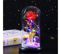 Coffret Cadeau Avec Couvercle Verre Rose Eternelle Fait Main Mariage Roses Rouges Peuvent Etre Offertes Aux Parents Amis Vacances Cadeaux Fête Remise Diplôme Cadeau Mères Elle 3 Piles AAA(8.46"*4.52")