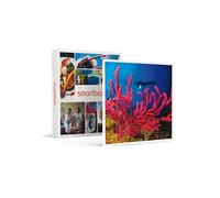 - Coffret Cadeau Baptême de plongée passionnant de 3h en duo au large de Fréjus-Sport & Aventure