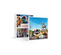 Coffret Cadeau SMARTBOX - Billets pour le Parc Astérix : 2 entrées adulte en 2026 - Billets pour le Parc Astérix : 2 entrées adulte