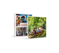 SMARTBOX - Coffret Cadeau Billets pour le Parc Astérix : 2 entrées adulte et 2 entrées enfant en 2026-Multi-thèmes