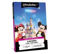 Coffret cadeau Connect Disneyland Paris 1 jour / 1 parc Disney®