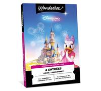 Coffret cadeau Connect Disneyland Paris en famille 2 Adultes et 2 Enfants
