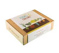 Coffret Cadeau de jardinage // Box de Légumes Originaux Formes et Couleurs