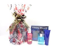 Coffret cadeau de luxe pour lui, 2 pièces de parfum Cool Blue 100 ml Eau de toilette et 130 ml de gel douche de luxe, bougies parfumées, panier cadeau emballé