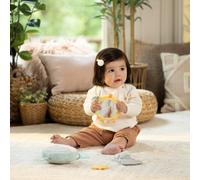 Ingenuity, Set Calm Springs Soothing Essentials jouet musical, hochet, miroir, 2 anneaux de dentition pour bébé