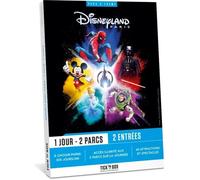 Coffret cadeau - Disneyland Paris 1 jour 2 parcs- Tickn'Box
