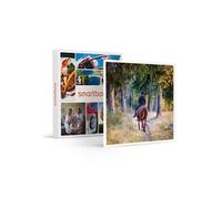 - Coffret Cadeau Leçon d'équitation ou agréable balade à cheval-Sport & Aventure