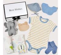 Coffret Cadeau Naissance Garçon avec Barboteuse Bébé Peluche Éléphant Lange Bavoir Bonnet Chaussettes Hautes Cartes de Jalons en Bois Coffret Cadeau, Baby Shower Naissance Coffret (Coffret Cadeau)