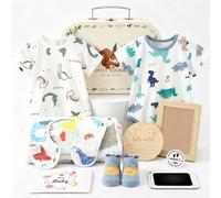 Coffret Cadeau Naissance pour Garçon et Fille avec 2 Bodies Bébé | 1 Bavoir Mousseline Coton Bébé Chaussettes Carte Étape Bois Tampon Encreur Noir Cadre Photo Pièce de Décision & Carte de Vœux