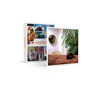 Rituel De Bien-Être De 2h À Vannes - Smartbox - Coffret Cadeau Bien-Être