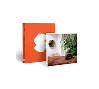 Parenthèse De Bien-Être De 2h À Vannes - Smartbox - Coffret Cadeau Bien-Être